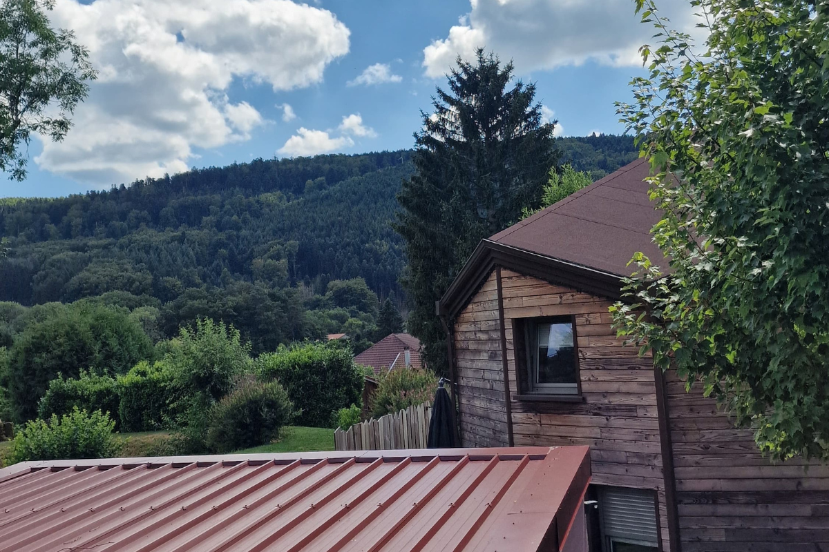 Forêts et montagnes vosgiennes en été