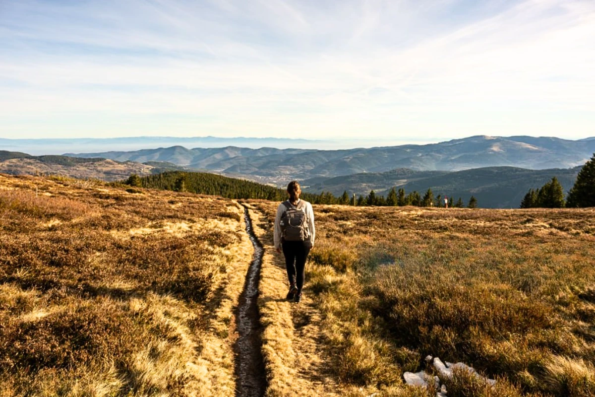 Sentier de balade en forêt près de Laveline-du-Houx dans les Vosges.