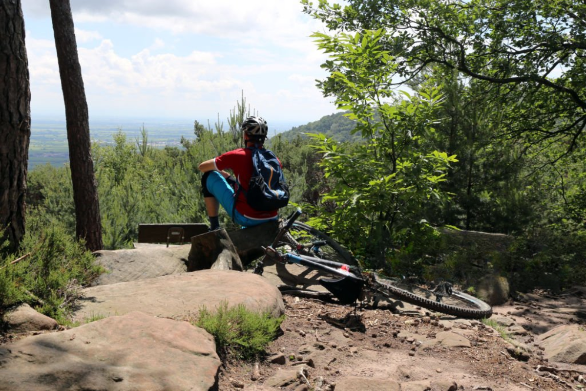 tourisme à vélo Vosges gîte, un local sécurisé pour ranger les vélos.