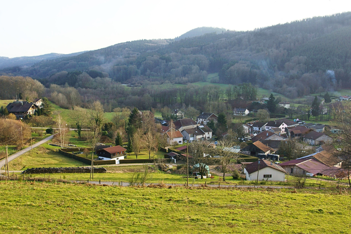 Vaste paysage de montagnes et de forêts, emblématique des Hautes-Vosges.