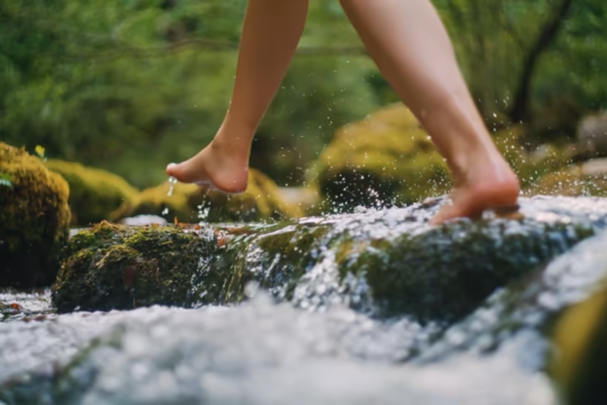 Une personne marche pieds nus dans un ruisseau en pleine forêt des Vosges.