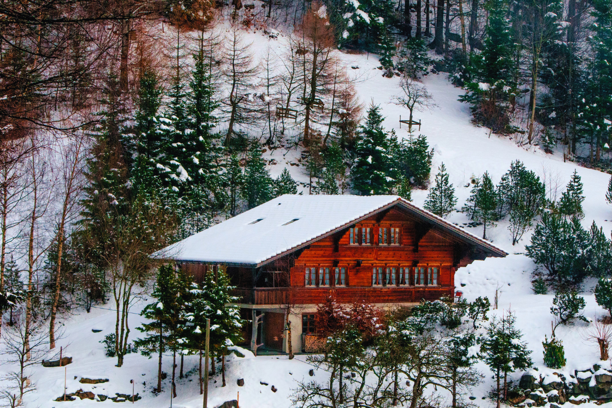 Chalet Vosges avec chien