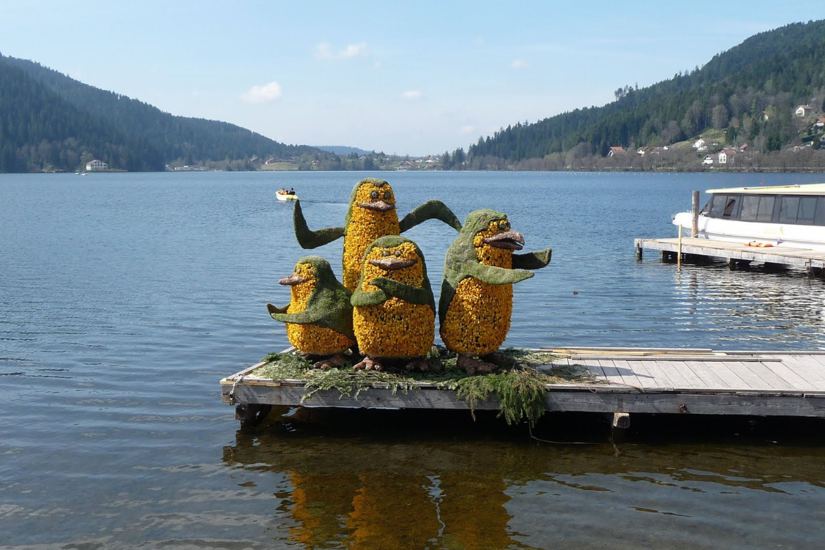 Vue panoramique du lac de Gérardmer, entouré par la forêt des Vosges.