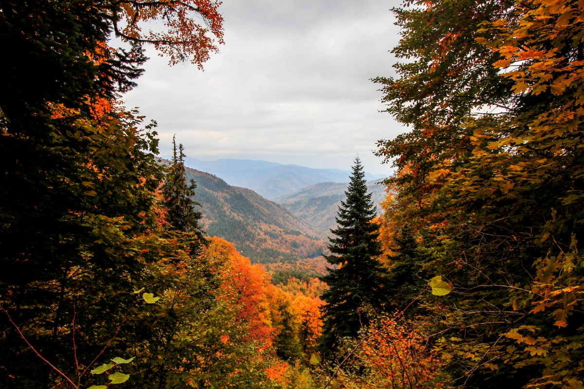 paysage d'automne dans les Vosges