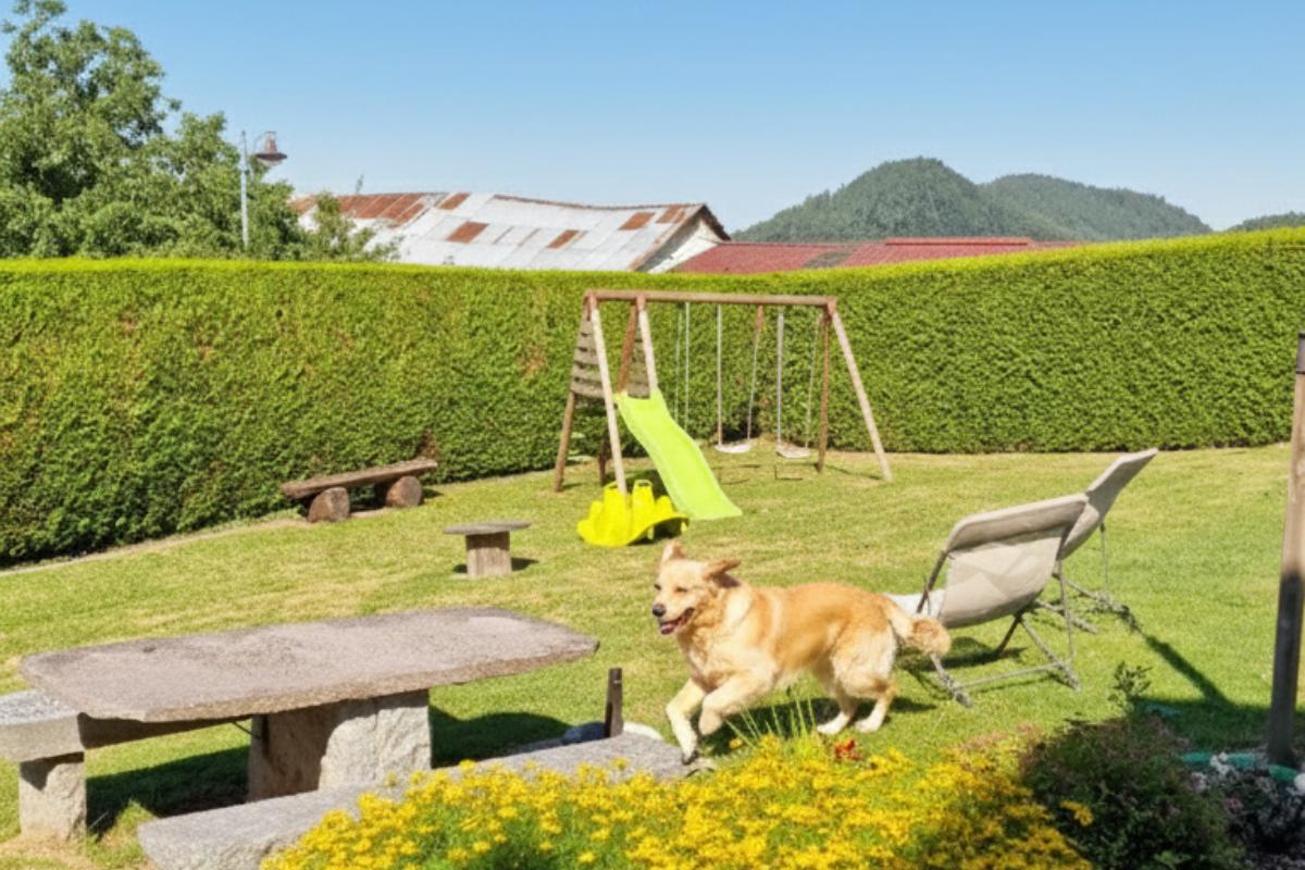 Chien s'amusant en toute sécurité dans le jardin clos du gîte Le Chalet au Domaine de la Répandise.