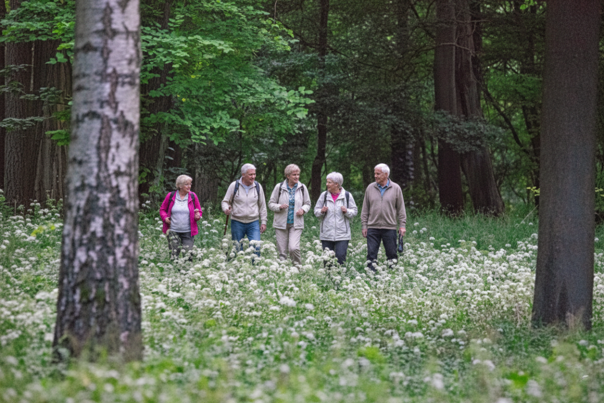 Paysage de la forêt vosgienne à Laveline-du-Houx, cadre naturel et calme pour un séjour entre amis retraités.