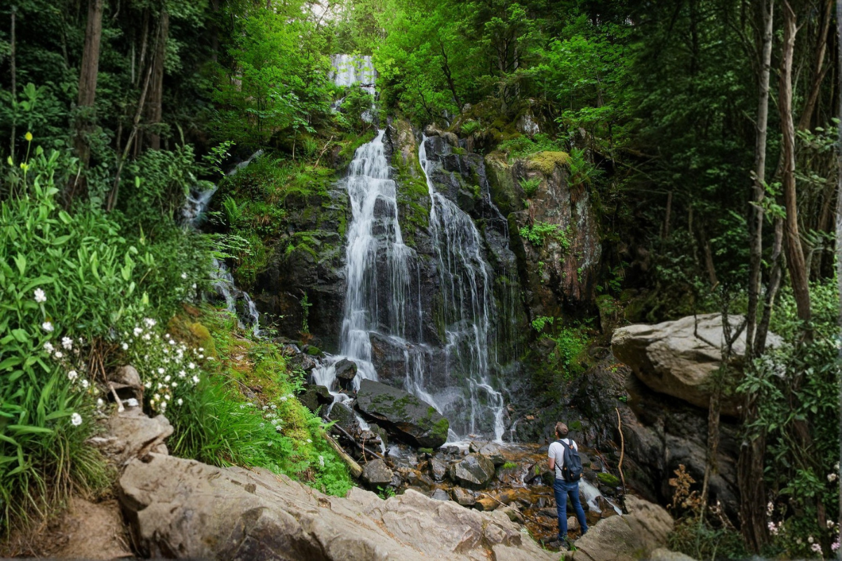 La Grande Cascade de Tendon, site naturel incontournable et accessible en randonnée douce depuis le gîte.