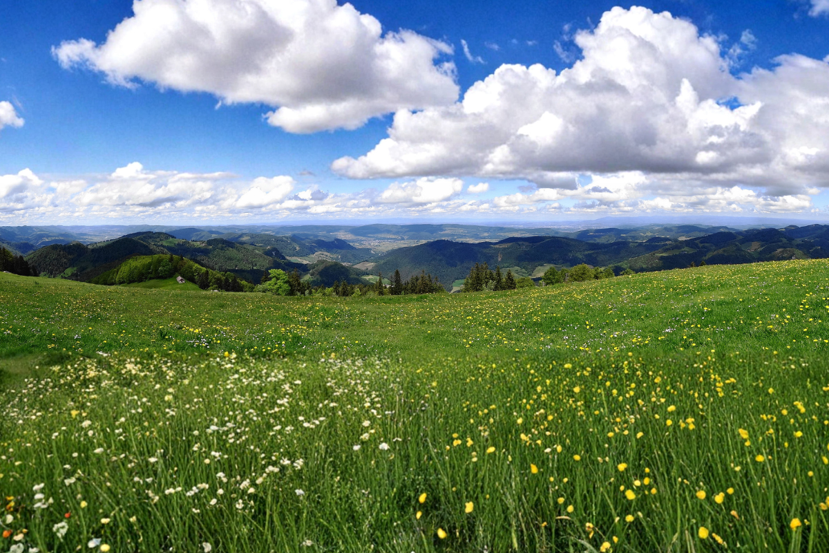 Panorama des Hautes-Vosges