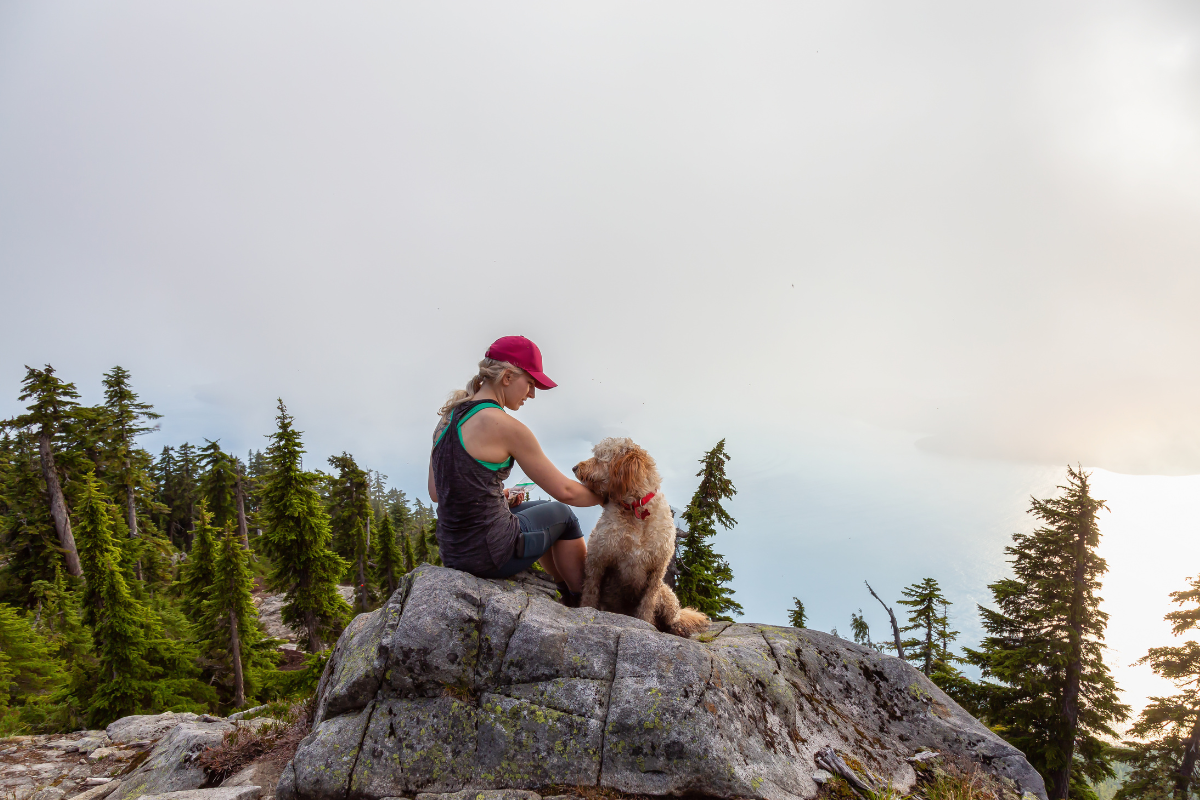 Randonnée avec chien en laisse sur les sentiers balisés du massif des Vosges.